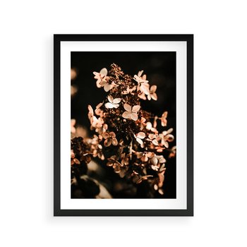 Plakat w ramie 40x50 - Hortensja - Suchy Kwiat w Sztuce - hortensja, suchy kwiat - rama czarna