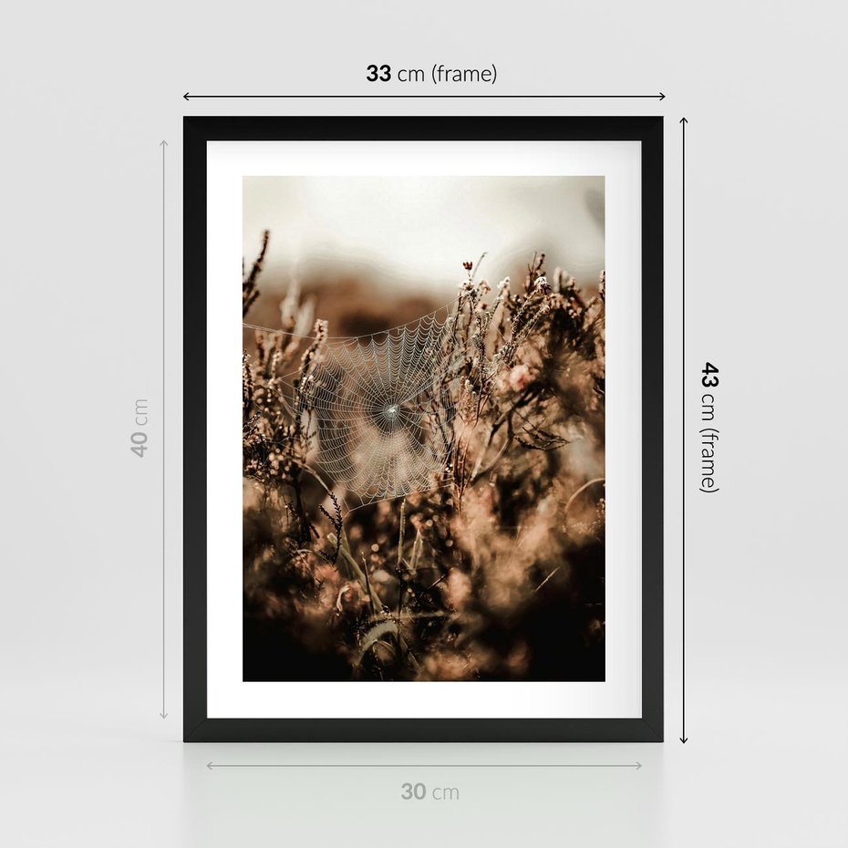 Plakat w ramie 30x40 - Jesienny Mikrokosmos - suchetrawy, jesienny klimat - rama czarna