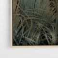 Obraz w ramie 80x80 - Światło w mroku duszy - liście traw, mroczny klimat - rama drewno