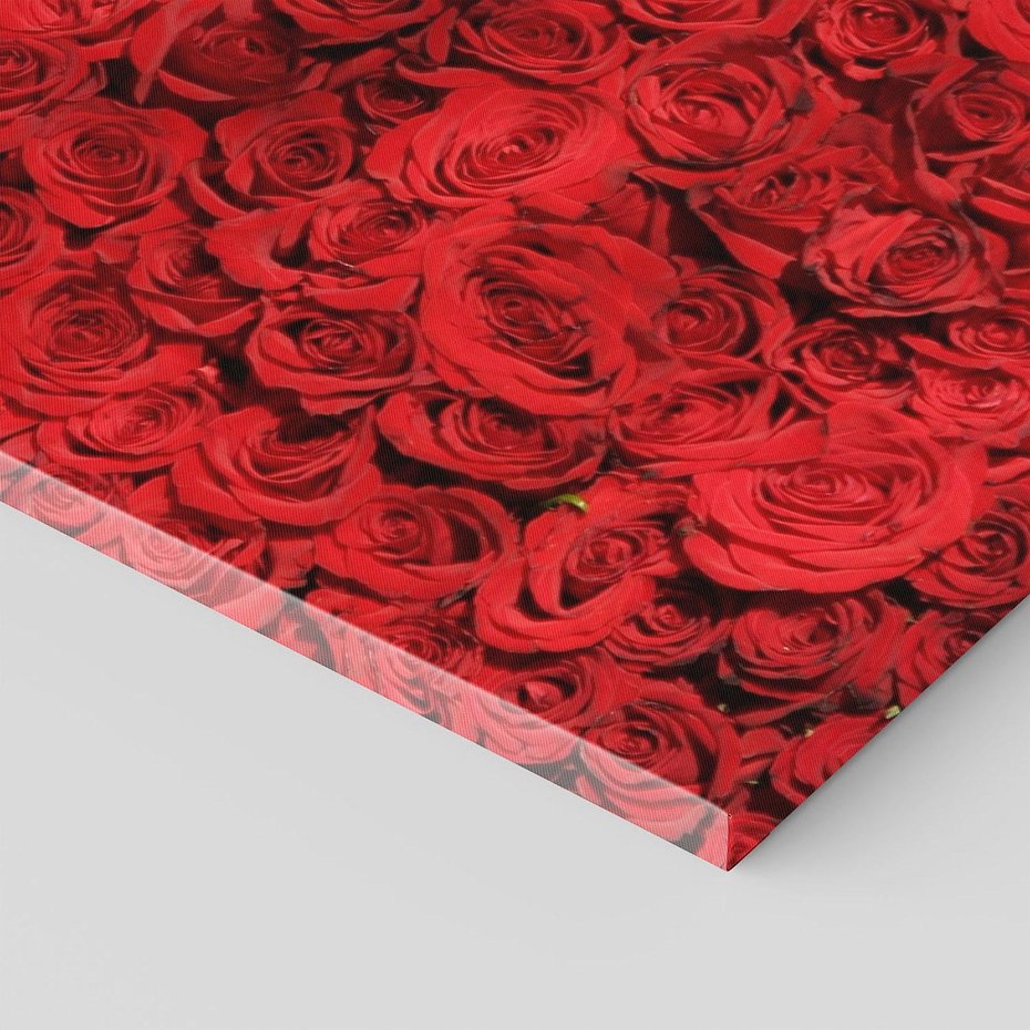 Obraz na płótnie 70x100 - Czerwona Pasja - czerwone, róże