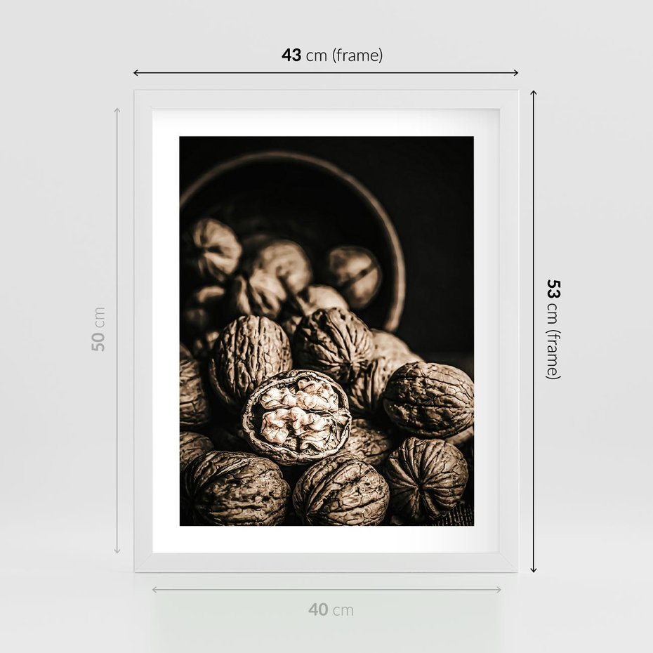 Plakat w ramie 40x50 - Orzechy Włoskie w Sepii - orzechy włoskie, fotografia retro - rama biała