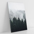 Obraz na płótnie 70x100 - Las w górach: mistyczna mgła - las, góry