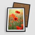 Plakat w ramie 50x70 - Makowa Pasja - maki, kwiaty - rama czarna