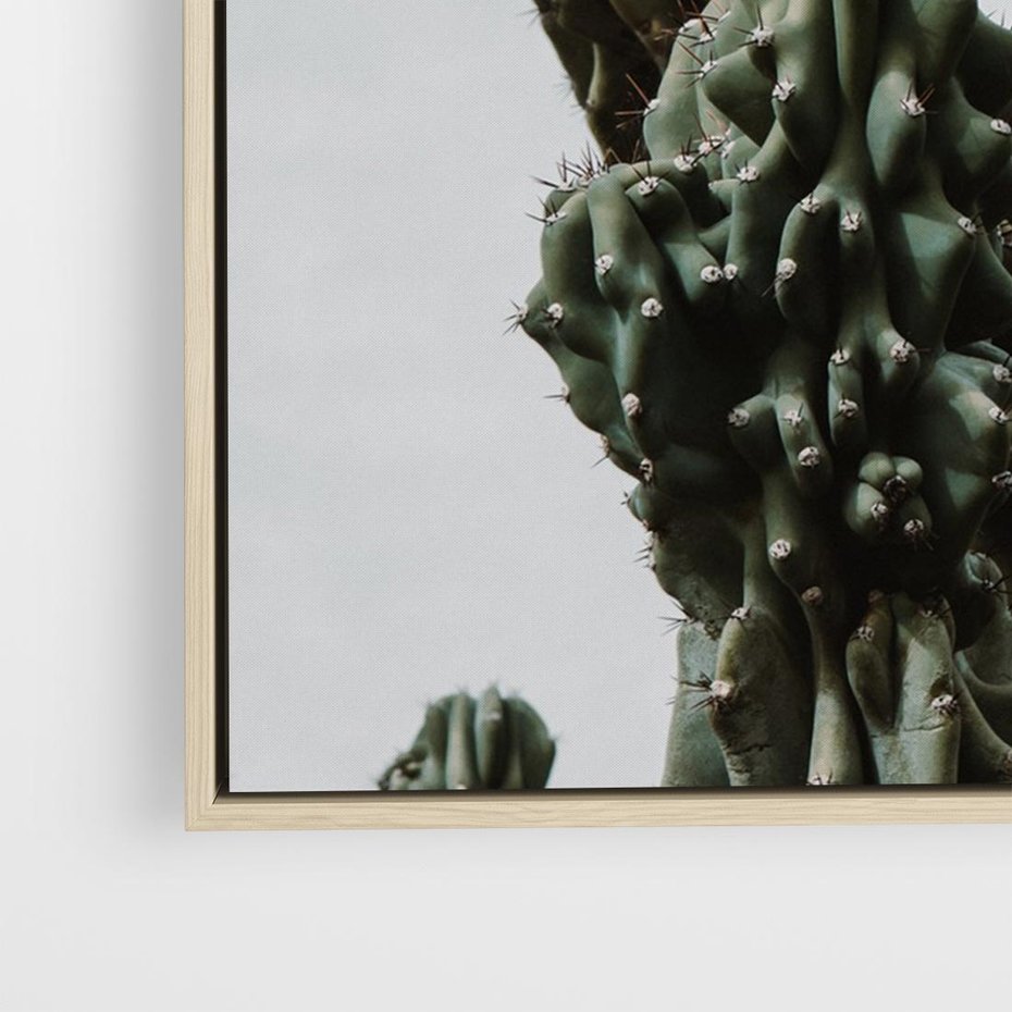 Obraz w ramie 120x80 - Boho oaza wśród kaktusów - kaktusy, pustynia - rama drewno