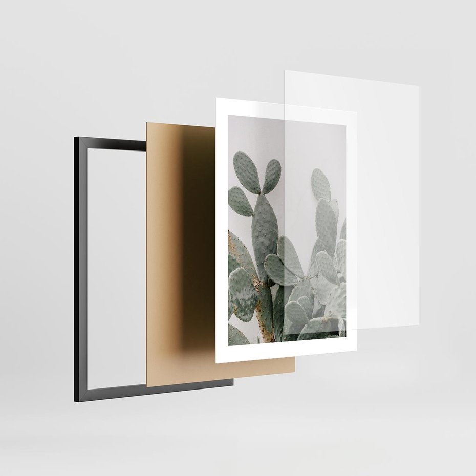Plakat w ramie 30x40 - Imponujący Kaktus - duży kaktus, opuncja - rama czarna