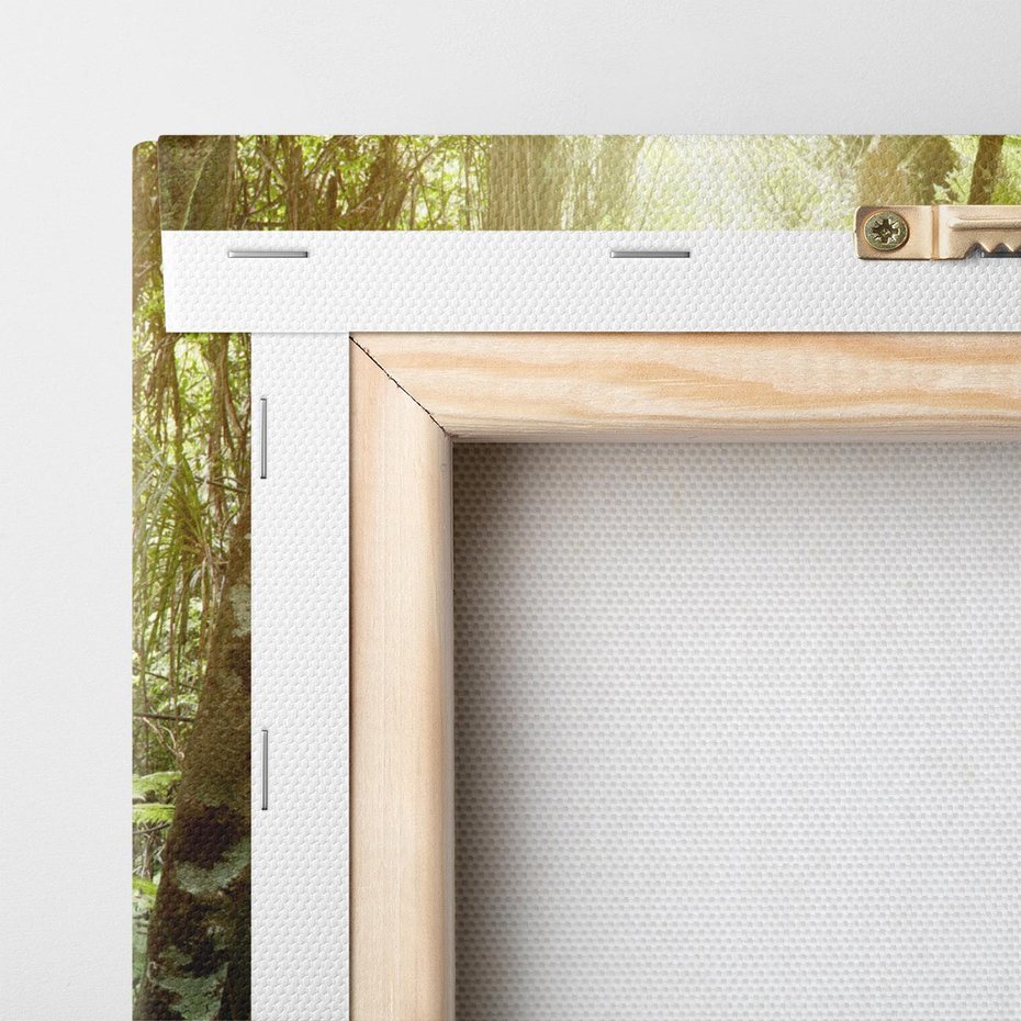 Obraz na płótnie 100x50 - Uroczysty Las Drzew - las, drzewa