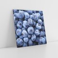 Obraz na płótnie 30x30 - Borówki Leśna Harmonia - borówki, owoce