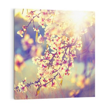 Obraz na płótnie 40x40 - Kwiatowa Wiosna - kwiaty, wiosna