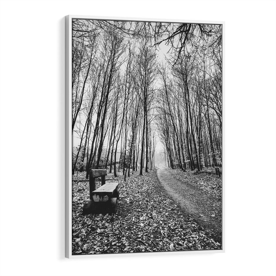 Obraz w ramie 50x70 - Spadające Liście - czarno białe zdjecie, park - rama biała