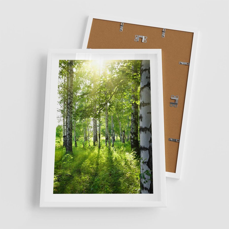 Plakat w ramie 50x70 - Lasowa Księżycowa Noc - las, drzewa - rama biała