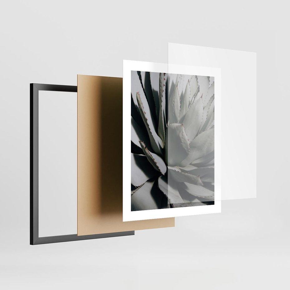 Plakat w ramie 40x50 - Egzotyczny Raj - sukulenty, kaktusy - rama czarna