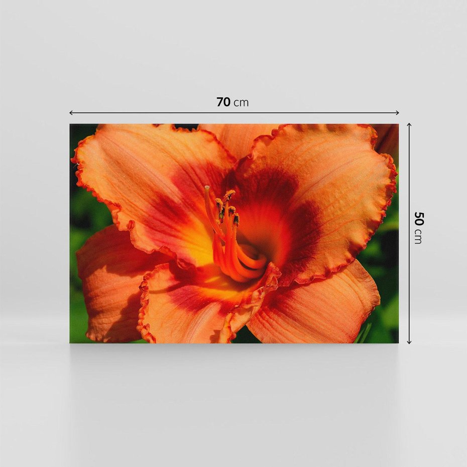 Obraz na płótnie 70x50 - Kwiatowa harmonia natury - kwiat, kwiaty