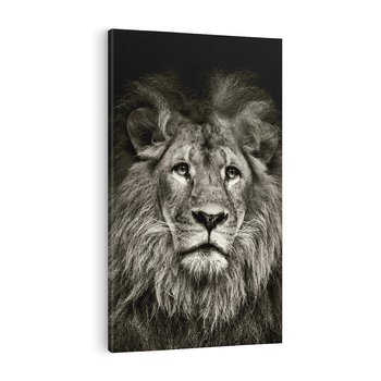 Obraz na płótnie 70x100 - Moc lewego spojrzenia - lew, czarno