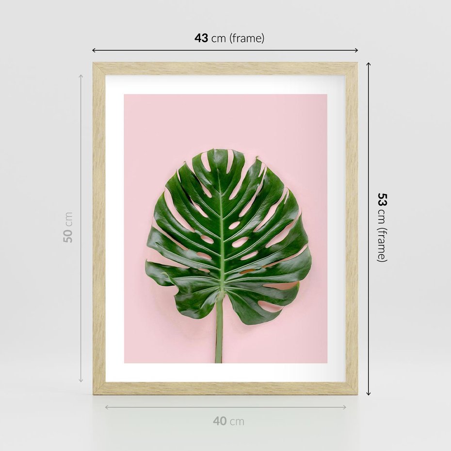 Plakat w ramie 40x50 - Monstera w Różowym Świetle - liść monstery, różowe tło - rama drewno