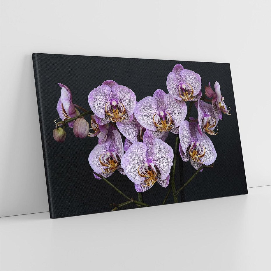 Obraz na płótnie 70x50 - Kwiatowy zachwyt pełen kolorów - kwiat, kwiaty