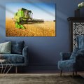 Obraz na płótnie 100x70 - Złociste żniwa na kombajnie - kombajn, zboże