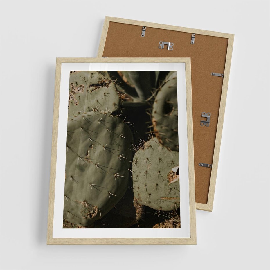 Plakat w ramie 50x70 - Urok Egzotyki - kaktusy, boho - rama drewno