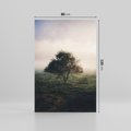 Obraz na płótnie 80x120 - Zamglona Prostota - artystyczna fotografia, samotne drzewo na zamglonej łące