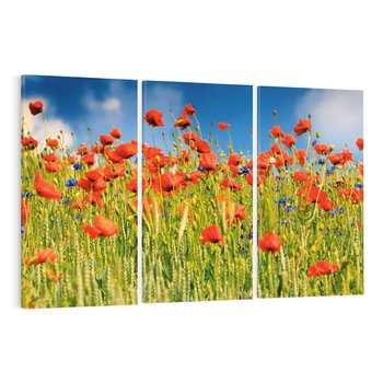Obraz na płótnie 120x80 - Delikatne maki na kolorowej łące - mak, maki