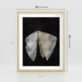 Plakat w ramie 40x50 - Obce Powidoki - abstrakcyjna ćma, mroczna atmosfera - rama drewno