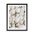 Plakat w ramie 50x70 - Białe Muszle - białe muszle, ujęcie z góry - rama czarna