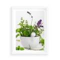Plakat w ramie 50x70 - Kwiaty i zioła w restauracji - kwiaty, zioła - rama biała