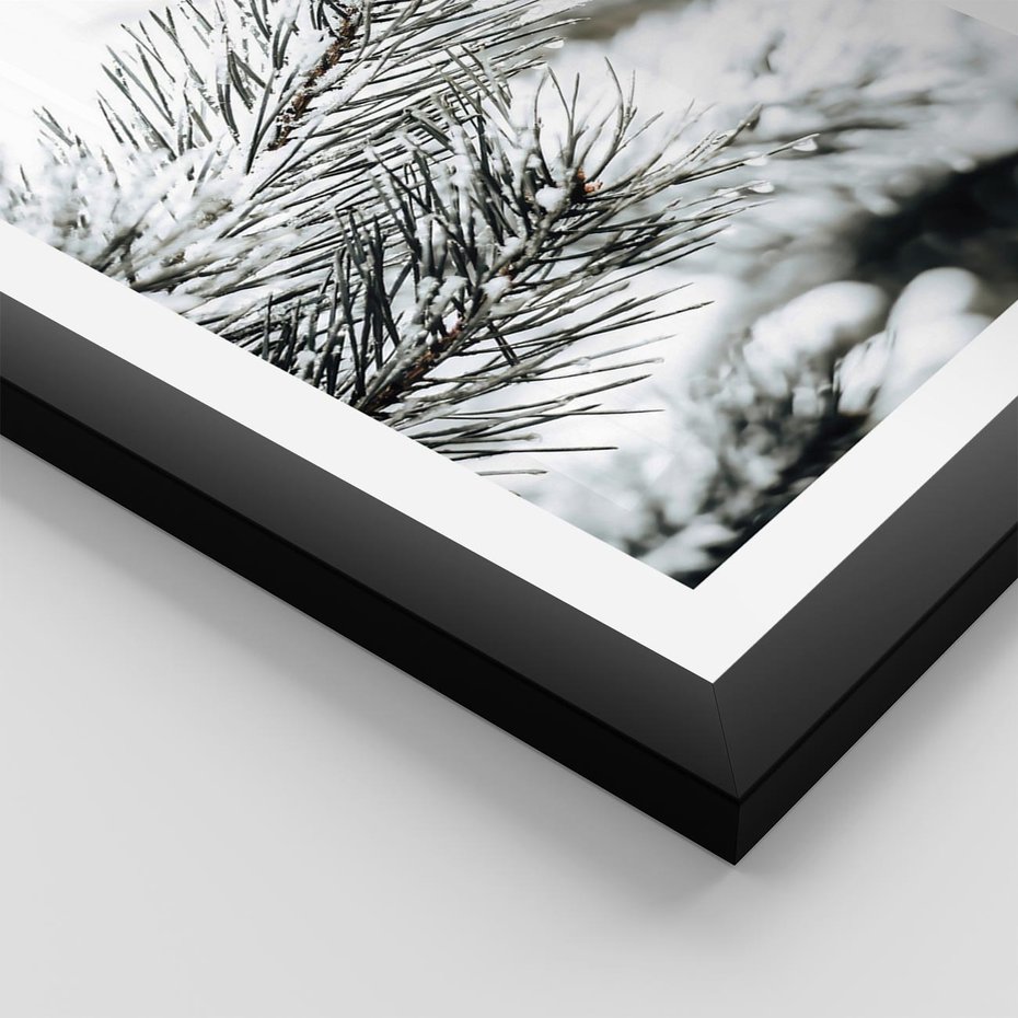 Plakat w ramie 40x50 - Chwila Zimowej Magii - iglasta gałązka, śnieg - rama czarna
