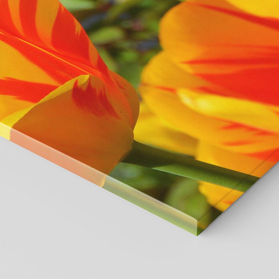 Obraz na płótnie 70x100 - Kwiatowa Harmonia - kwiaty, kwiat