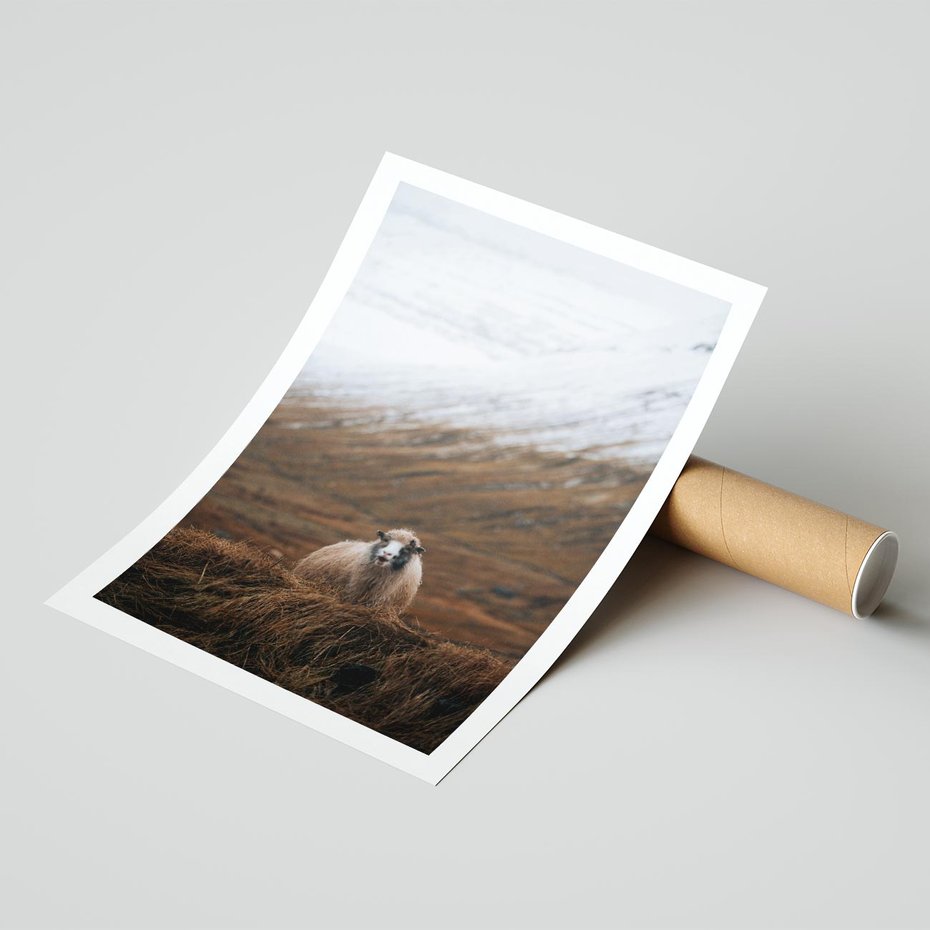 Plakat bez ramy 21x30 - Owiecka panorama - góry, owca