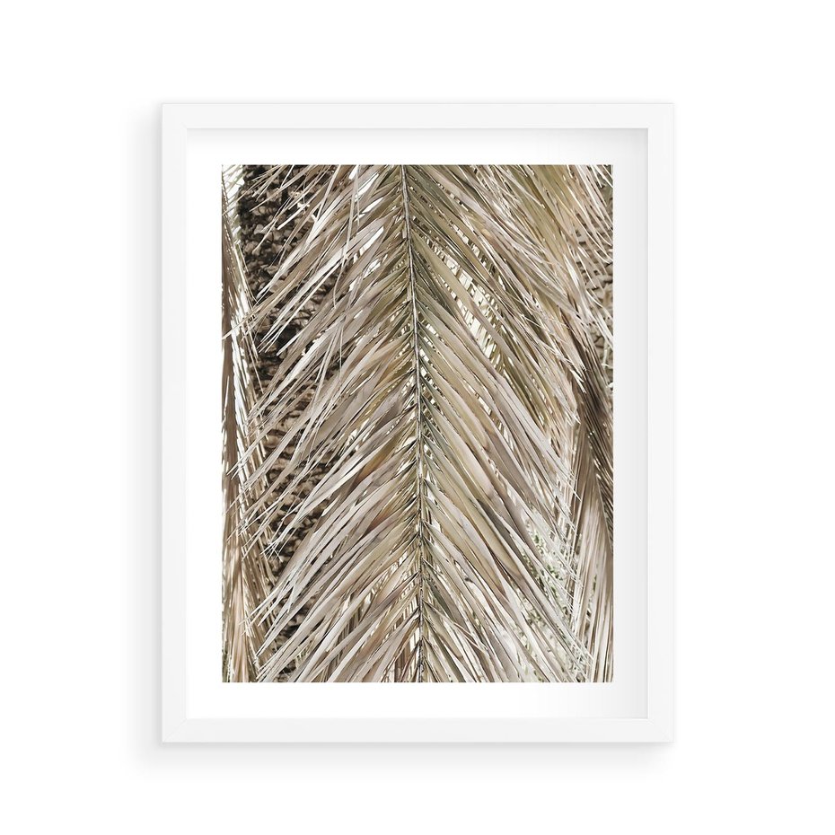 Plakat w ramie 40x50 - Boho Urok Palmy: Zbliżenie Natury - sucha palma, zbliżenie - rama biała