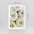 Plakat w ramie 50x70 - Jesienne Dynie: Delikatna Kompozycja - białe dynie, jasna kompozycja - rama biała