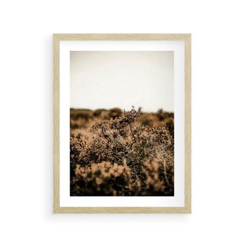 Plakat w ramie 40x50 - Krajobraz W Naturze: Beże i Brązy - suche krzewy, natura - rama drewno