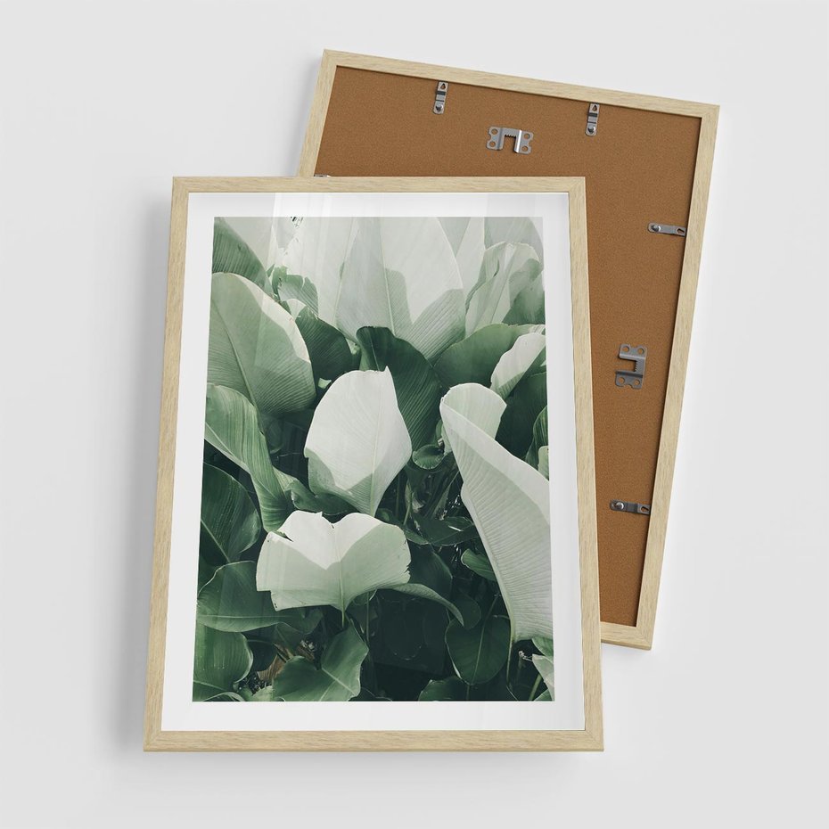 Plakat w ramie 50x70 - Zgaszona Uroda Natury - zielone liście, zgaszona zieleń - rama drewno