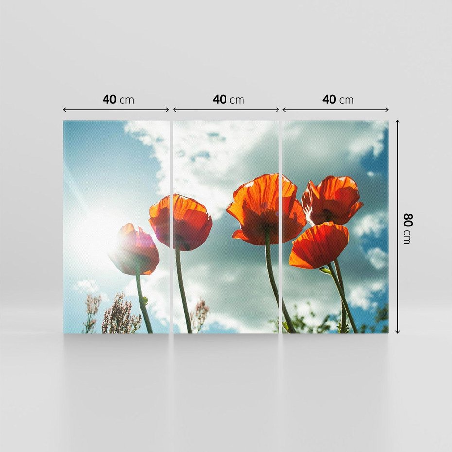 Obraz na płótnie 120x80 - Kwiaty pod niebem: piękno natury - kwiaty, niebo