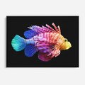 Obraz w ramie 100x70 - Tęczowa Piękność - kolorowa tęczowa ryba, mocny akcent na czarnym tle - rama czarna
