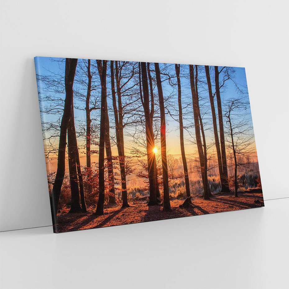 Obraz na płótnie 100x70 - Zachód słońca w jesiennym lesie - zachód słońca,