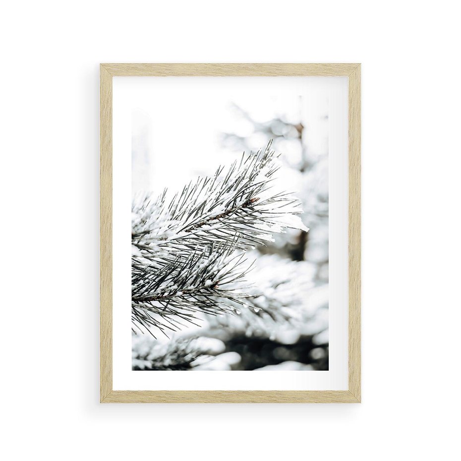 Plakat w ramie 30x40 - Chwila Zimowej Magii - iglasta gałązka, śnieg - rama drewno