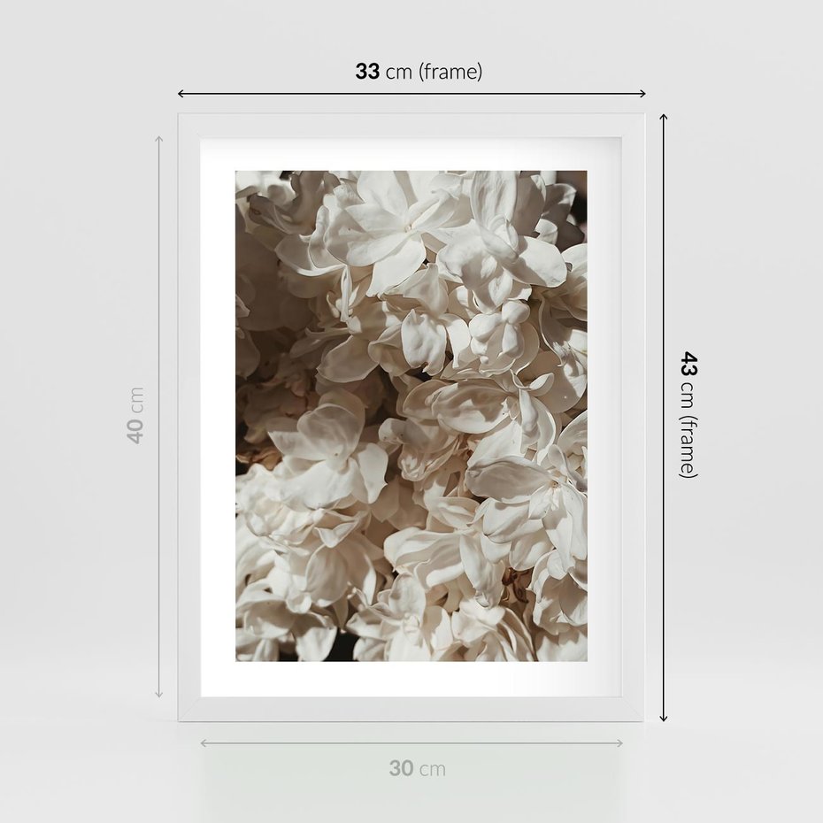 Plakat w ramie 30x40 - Płatki w Detalu - białe kwiaty, zbliżenie - rama biała