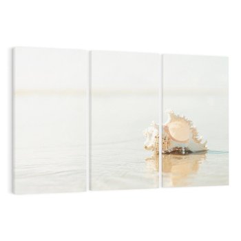 Obraz na płótnie 120x80 - Spokój Plaży - fotografia, biała muszla na plaży
