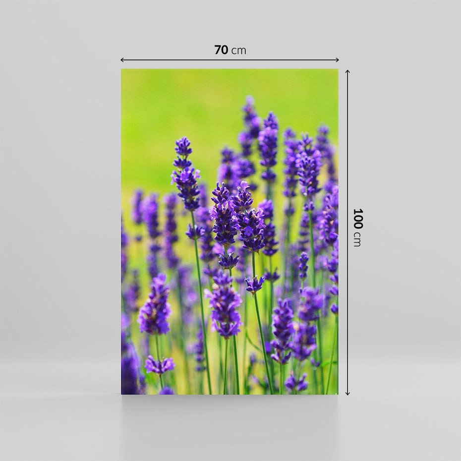 Obraz na płótnie 70x100 - Lawenda w naturze - lawenda, kwiaty