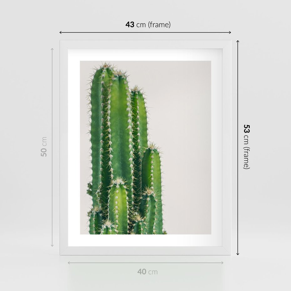 Plakat w ramie 40x50 - Minimalistyczne Kaktusy na Białym Tle - kaktusy, minimalistyczna fotografia - rama biała