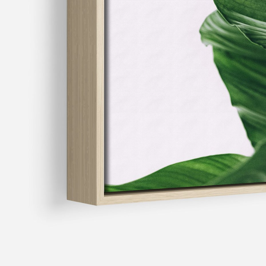 Obraz w ramie 50x70 - Zielone liście monstery - liście, monstera - rama drewno