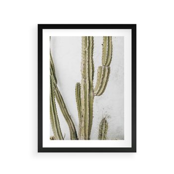 Plakat w ramie 50x70 - Kaktus w Stylu Boho - kaktus, roślina tropikalna - rama czarna