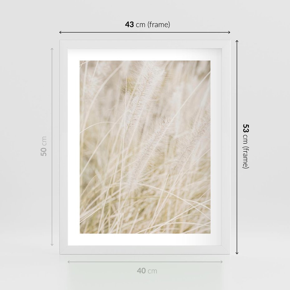 Plakat w ramie 40x50 - Białe Trawy Pampas - suche trawy, białe trawy - rama biała