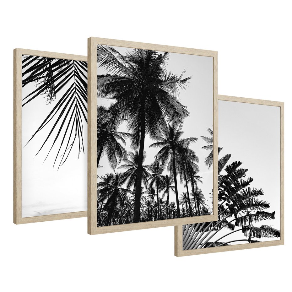 Zestaw obrazy w ramie 30x40 galeria - Palmy, czarno, biały, minimalizm - rama drewno