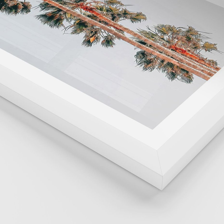 Plakat w ramie 50x70 - Kształty Palm - palmy, zdjęcie - rama biała