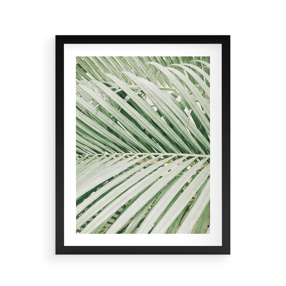 Plakat w ramie 40x50 - Liście Palmy: Egzotyczna Grafika - palma, liście palmy - rama czarna