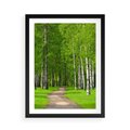 Plakat w ramie 50x70 - Spacer Ścieżką w Urokliwym Lesie - las, ścieżka - rama czarna