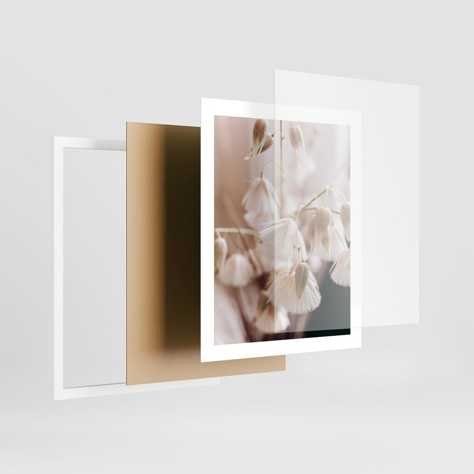 Plakat w ramie 40x50 - Suszona Delikatność - suszone kwiaty, rośliny - rama biała