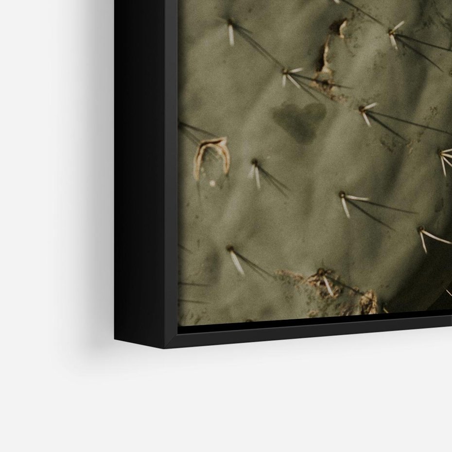 Obraz w ramie 50x50 - Urok Egzotyki - kaktusy, boho - rama czarna
